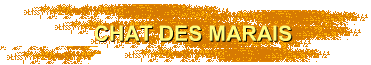 CHAT DES MARAIS