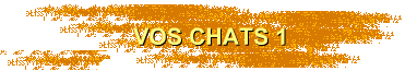 VOS CHATS 1